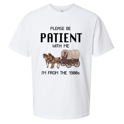 Please Be Patient With Me IM From The 1900s Vintage Sueded Cloud Jersey T-Shirt