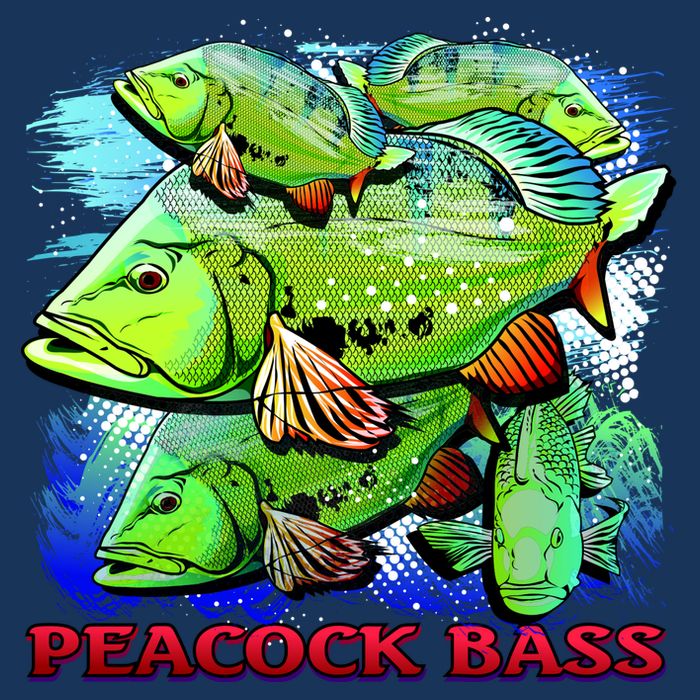 Peacock Bass Button
