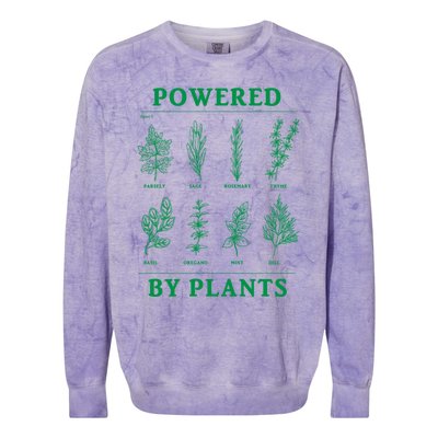 Powered By Plants Vegan Vegetarian Plantgiftbased Gift Colorblast Crewneck Sweatshirt