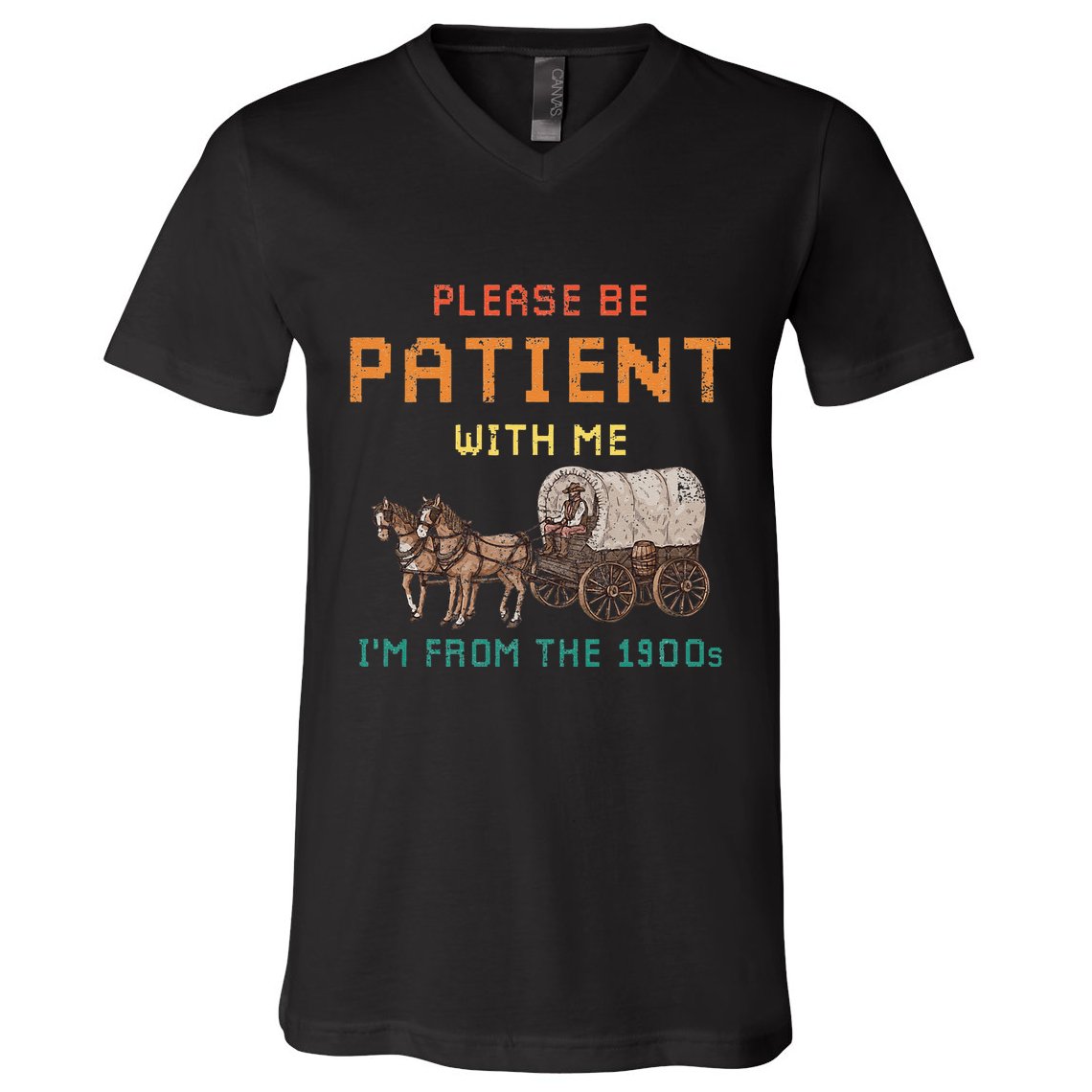 Please Be Patient With Me IM From The 1900s Vintage V-Neck T-Shirt