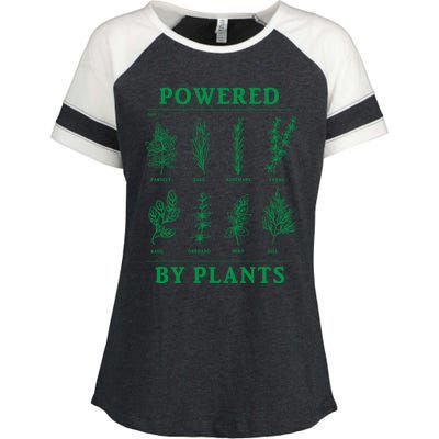 Powered By Plants Vegan Vegetarian Plantmeaningful Giftbased Gift Enza Ladies Jersey Colorblock Tee