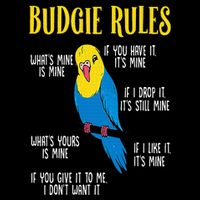 Parakeet Budgie Rules Bird Budgerigar Button