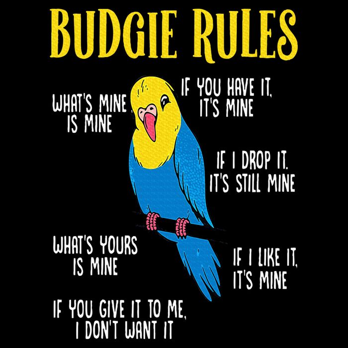 Parakeet Budgie Rules Bird Budgerigar Button