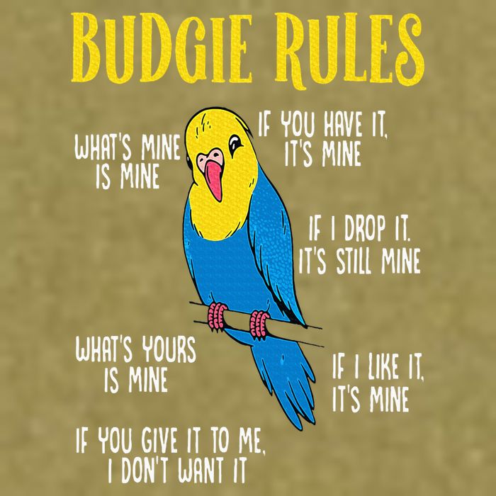 Parakeet Budgie Rules Bird Budgerigar Garment-Dyed Women's Muscle Tee