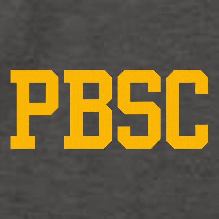 Palm Beach State Vector Backpack
