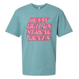 Pussy Builds Strong Bones Pbsb Colored Sueded Cloud Jersey T-Shirt