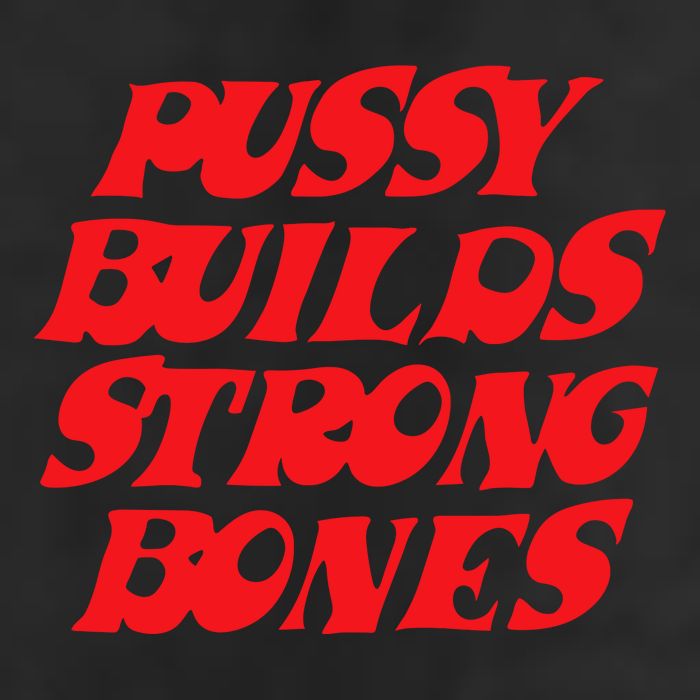 Pussy Builds Strong Bones Adult Drive Performance Visor