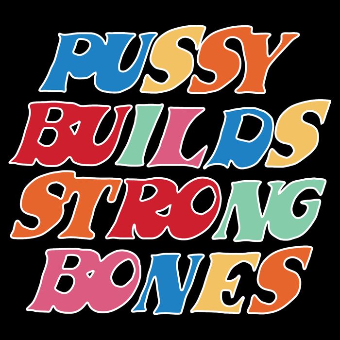Pussy Builds Strong Bones Retro Colorful Logo Backpack