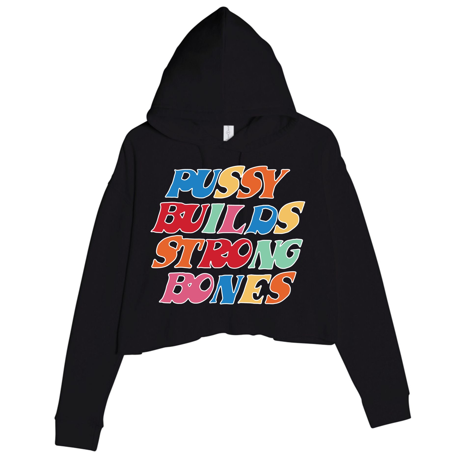 Pussy Builds Strong Bones Retro Colorful Logo Crop Fleece Hoodie