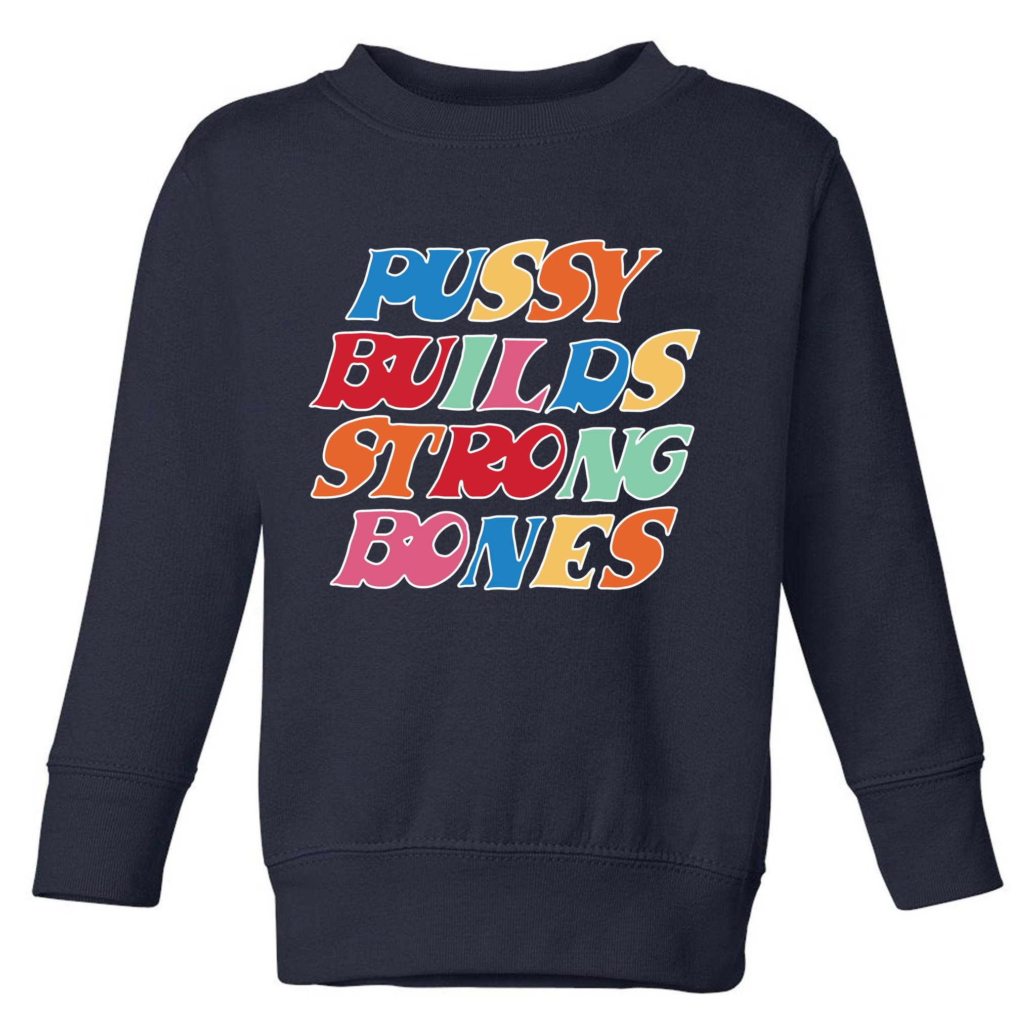 Pussy Builds Strong Bones Retro Colorful Logo Toddler Sweatshirt
