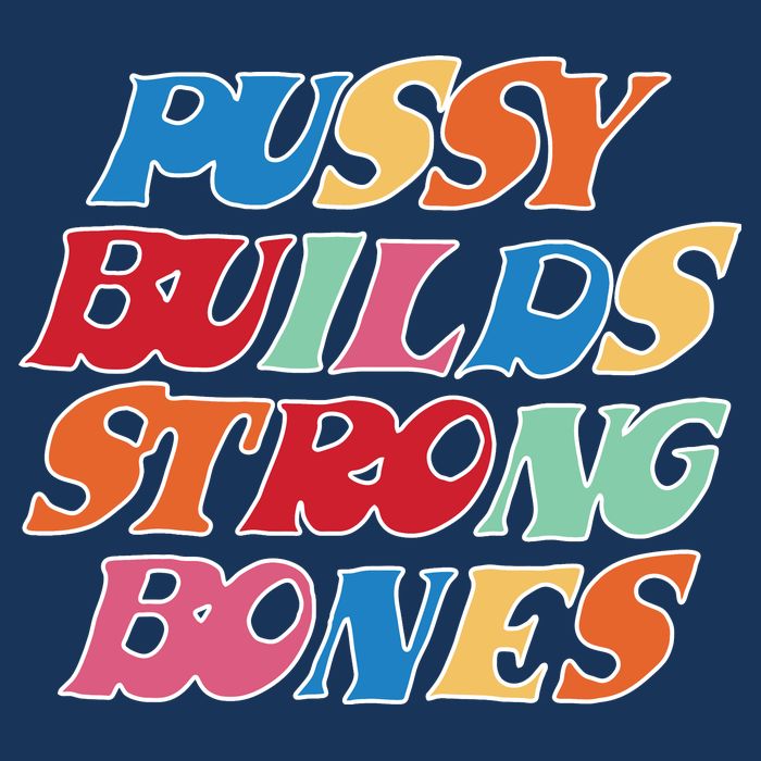 Pussy Builds Strong Bones Retro Colorful Logo Kids T-Shirt