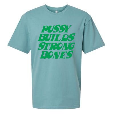 Pussy Builds Strong Bones 15 Sueded Cloud Jersey T-Shirt