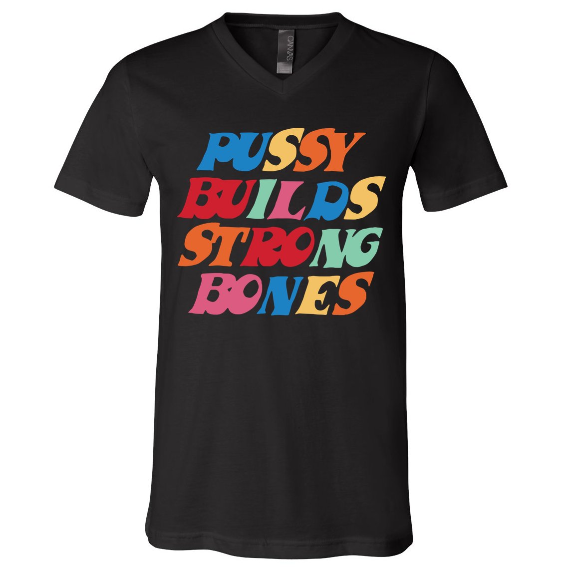 Pussy Builds Strong Bones V-Neck T-Shirt