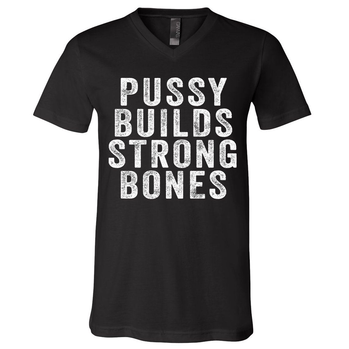 Pussy Builds Strong Bones V-Neck T-Shirt