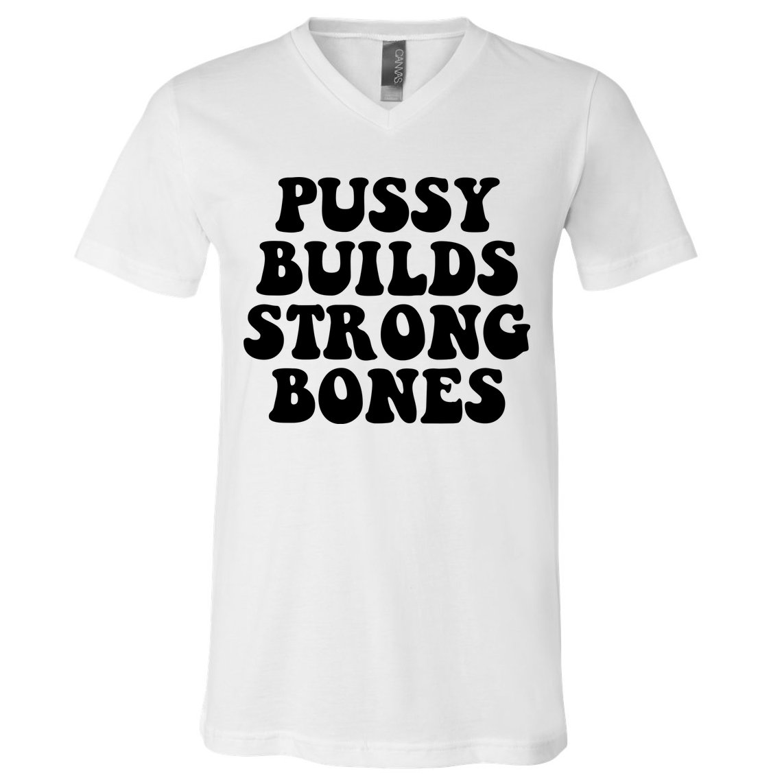 Pussy Builds Strong Bones V-Neck T-Shirt