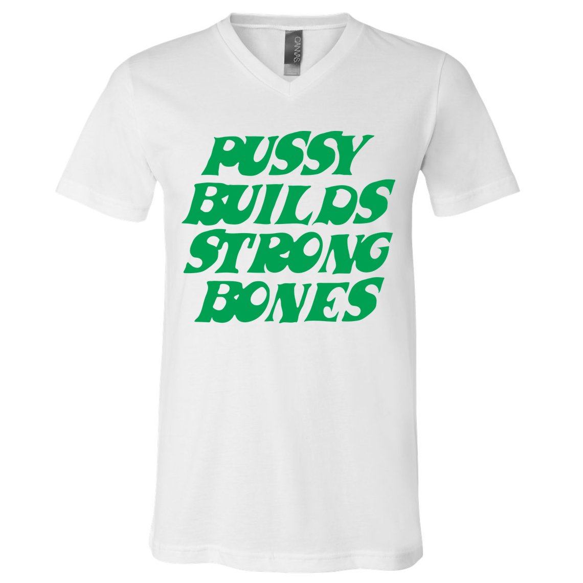 Pussy Builds Strong Bones V-Neck T-Shirt