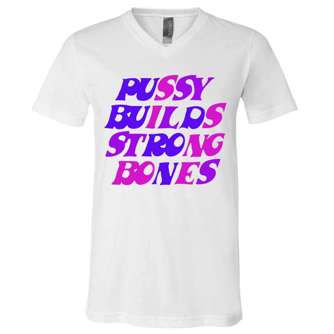 Pussy Builds Strong Bones Shirt PBSB Colored V-Neck T-Shirt