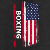 Patriotic Boxing USA Flag Apparel 7 Panel Mesh Trucker Snapback Hat
