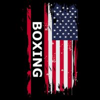 Patriotic Boxing USA Flag Apparel 7-Panel Snapback Hat
