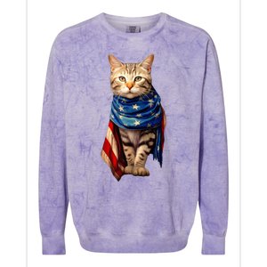 Patriotic Cat 4th Of July USA American Flag Colorblast Crewneck Sweatshirt