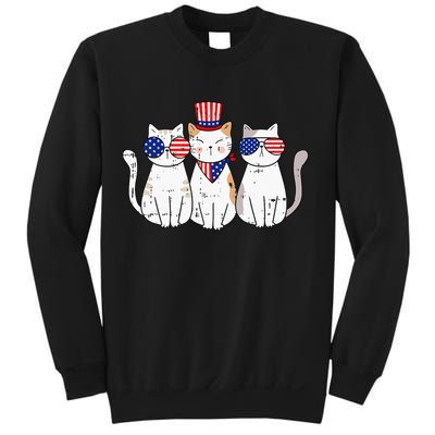 Patriotic Cat 4th Of July Funny Kitten Cat Lover Pet Owner Sweatshirt