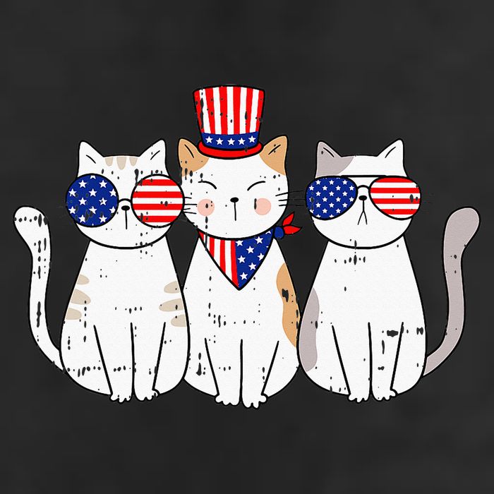 Patriotic Cat 4th Of July Funny Kitten Cat Lover Pet Owner 15oz Campfire Ceramic Mug