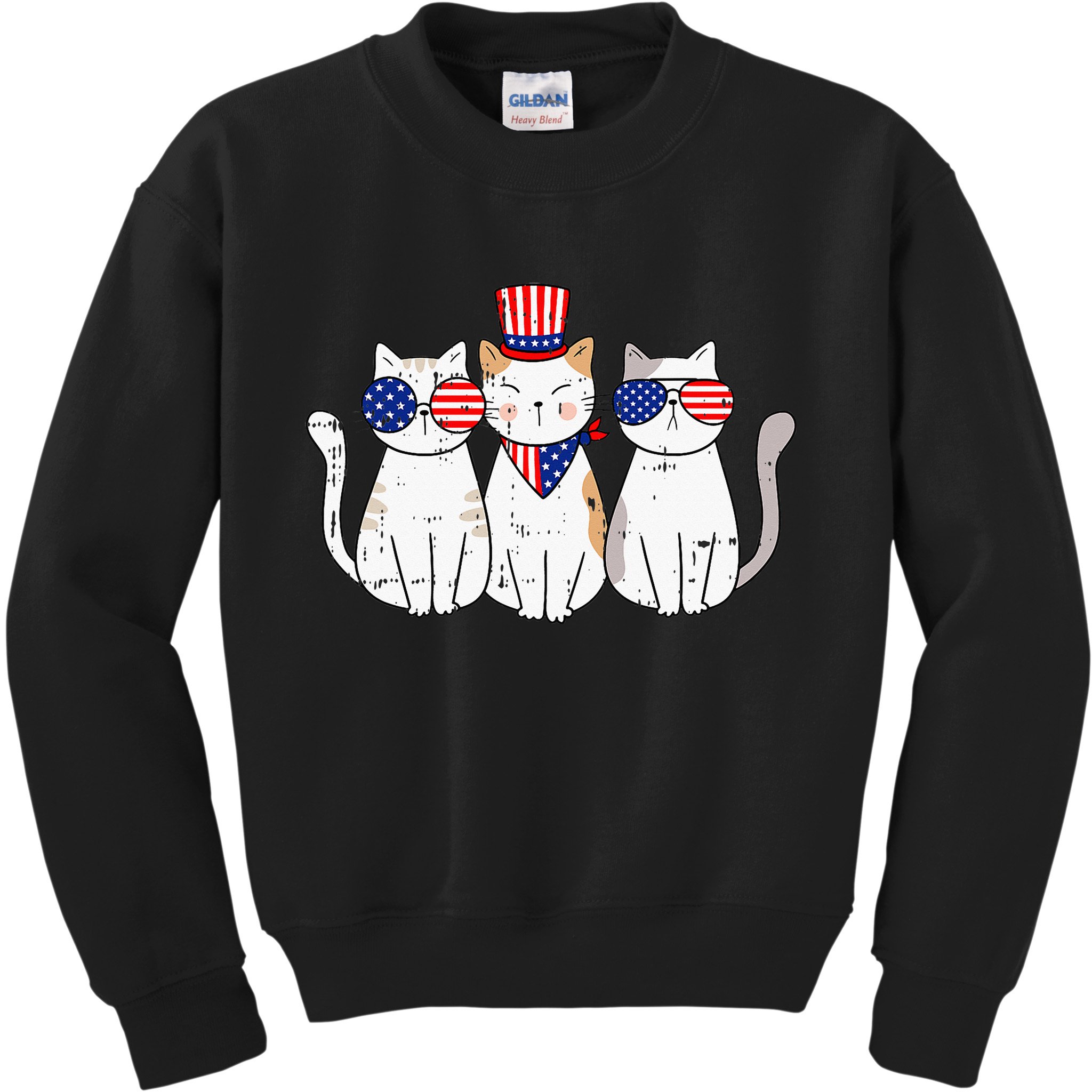 Patriotic Cat 4th Of July Funny Kitten Cat Lover Pet Owner Kids Sweatshirt