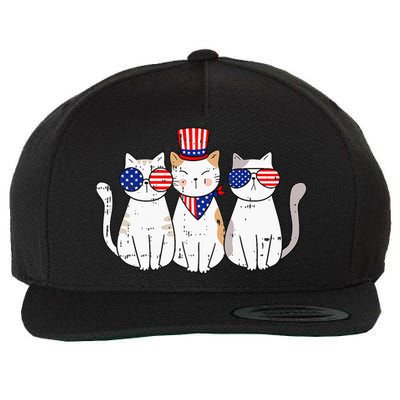 Patriotic Cat 4th Of July Funny Kitten Cat Lover Pet Owner Wool Snapback Cap
