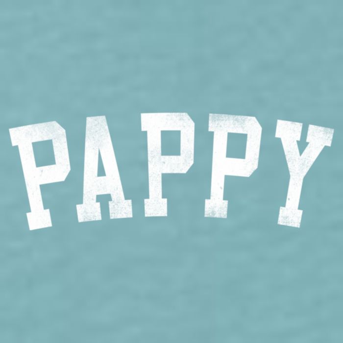 Pappy Classic Bold Font FatherS Day Pappy Sueded Cloud Jersey T-Shirt