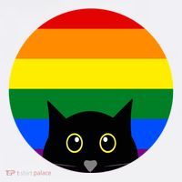 Peeking Cat Colorful Rainbow Poster