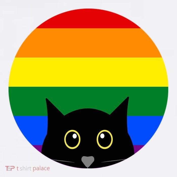 Peeking Cat Colorful Rainbow Visor
