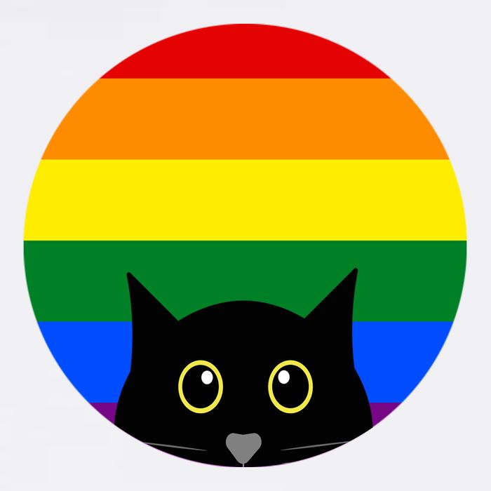 Peeking Cat Colorful Rainbow Womens T-Shirt