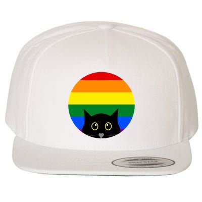 Peeking Cat Colorful Rainbow Wool Snapback Cap