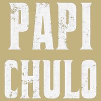 Papi Chulo Cool Daddy Fathers Day Gift Latino Father Cooling Performance Crew T-Shirt