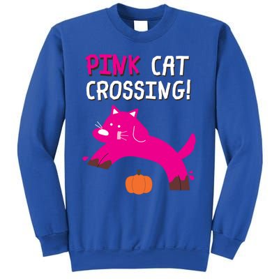 Pink Cat Crossing Pumskin Funny Halloween Gift Sweatshirt