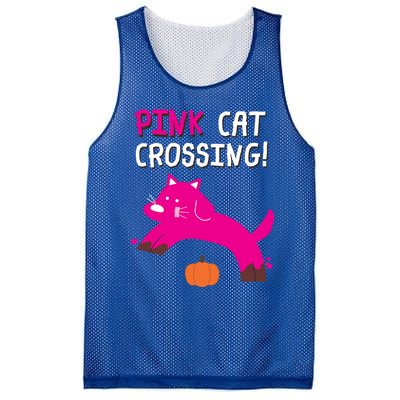 Pink Cat Crossing Pumskin Funny Halloween Gift Mesh Reversible Basketball Jersey Tank