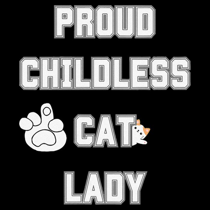 Proud Childless Cat Lady Lover Of Felines Funny Sarcastic Stripe Pom Pom Beanie