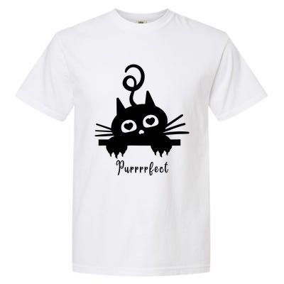 Purrrfect Cute Cat Garment-Dyed Heavyweight T-Shirt