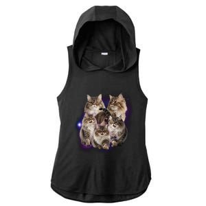 Persian Cats Collage Ladies PosiCharge Tri-Blend Wicking Draft Hoodie Tank