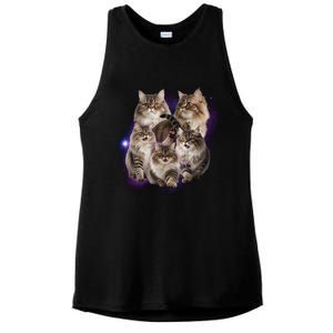 Persian Cats Collage Ladies PosiCharge Tri-Blend Wicking Tank