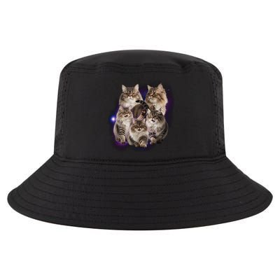 Persian Cats Collage Cool Comfort Performance Bucket Hat