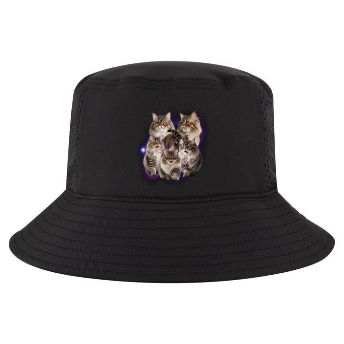 Persian Cats Collage Cool Comfort Performance Bucket Hat
