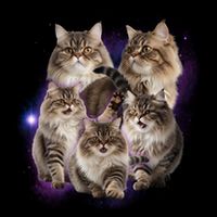 Persian Cats Collage Drawstring Bag