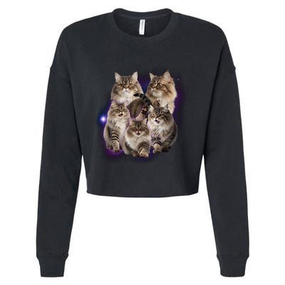 Persian Cats Collage Cropped Pullover Crew