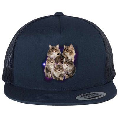 Persian Cats Collage Flat Bill Trucker Hat