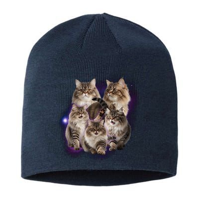 Persian Cats Collage Sustainable Beanie