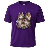 Persian Cats Collage Cooling Performance Crew T-Shirt