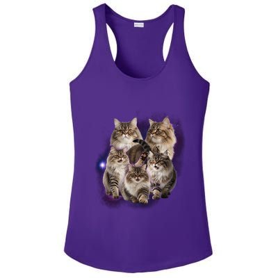 Persian Cats Collage Ladies PosiCharge Competitor Racerback Tank