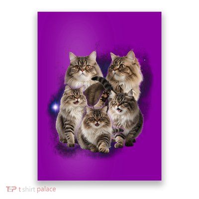 Persian Cats Collage Poster
