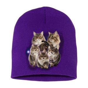 Persian Cats Collage Short Acrylic Beanie